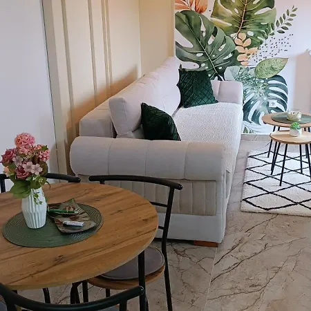 Apartment Nit Banja Koviljaca